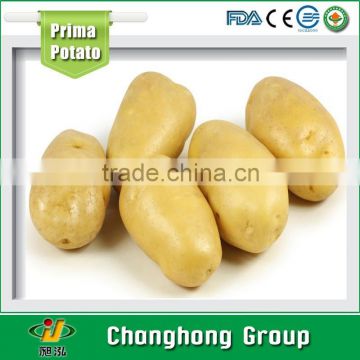 [HOT ]Linyi Changhong Fresh Potatoes