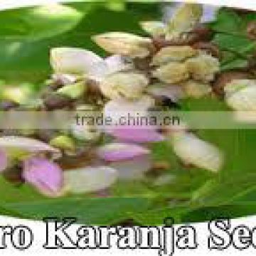 Karanja Oil for Skin Care ; Produced by Cold Pressed Method