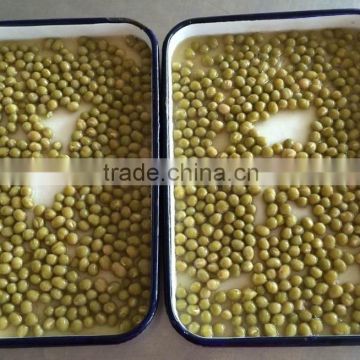 big factory direct sale different size canned green peas