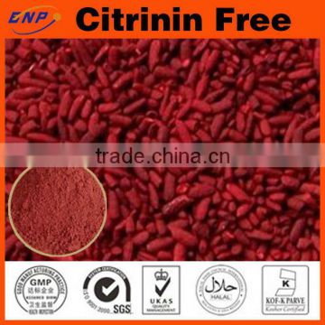 Qingdao BNP Red Yeast Rice Extract Monacolin K(Citrinin Free)