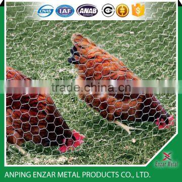 Hexagonal wire netting/ chicken poultry farms fence