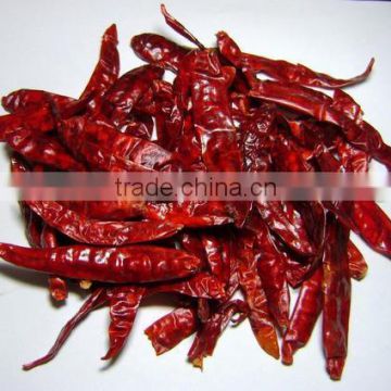 DRIED RED CHILLIES