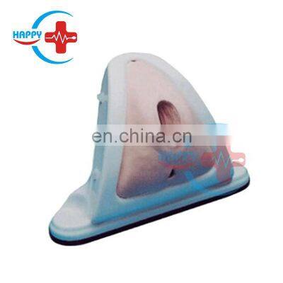 HC-S313 Vulva Suturing Training Simulator Perineal Incision Suture Skill Training Vagina Training Model