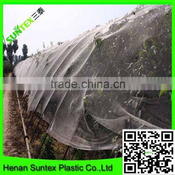 Supply various apple tree anti hail net/hail protection net/anti brid net with cheap price