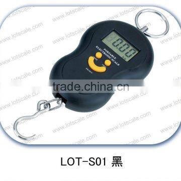 electronic hanging scale