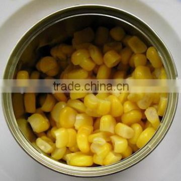 884# can size 340g Fresh Canned sweet corn