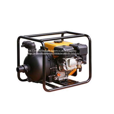 Hot Sale for Industrial and Agricultural Use Gasoline Chemical pump