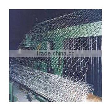 manufacturer of hexagonal wire mesh (electro galvanized/ hot dipped galvanized)
