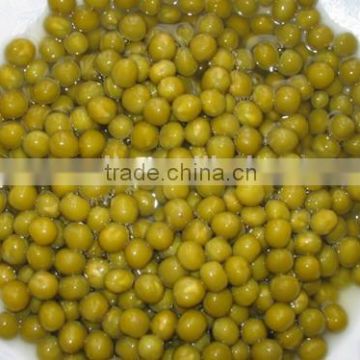 New Crop Canned Green Peas 400g