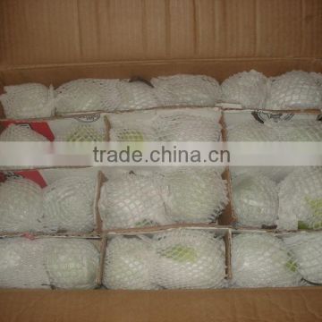 2012 fresh ya pear 40 44# from china
