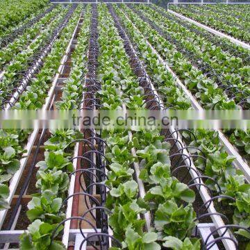 Greenhouse water-saving irrigation plastic arrows drippers