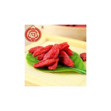 Goji fruitNingxia dried goji berry dried goji berries