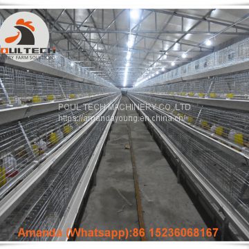Uruguay Selling Poultry Farming Pullet Cage & Automatic Small Chicken Cage & Bird Cage with Automatic Feeding Machine for 5000 Chicks