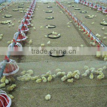 Full Set Automatic Poultry Breeding Equipment for Broiler