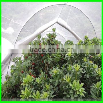 lightweight greenhouse anti insect net for agriculture