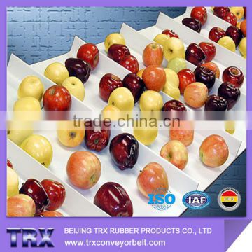 Food grade PVC Conveyor Belt Fruit conveyor belt