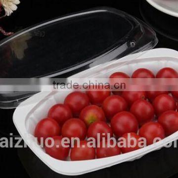 Oval shape food packaging lunch box