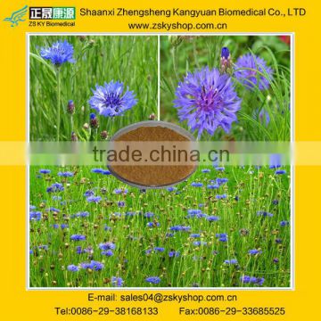 100% Natural Cornflower Extract for Cosmetics Grade