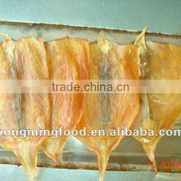 High quality whole dried squid