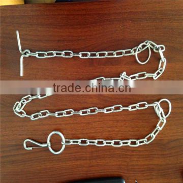 korean style dog chain