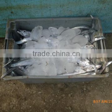 Top quality PLC Control Systems Automatic commerical plate ice machine for factory For sale