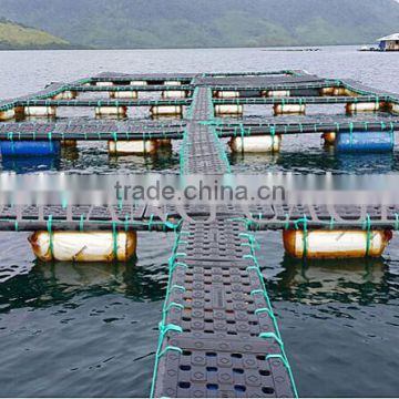 close to shore affordable tilapia farming local materials fish cage