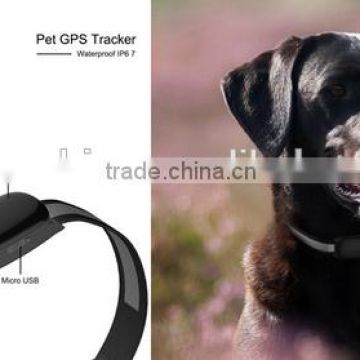 anti-lost small waterproof cheap pet tracker gps collar animal gps tracking