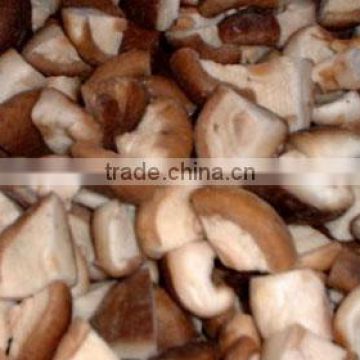 Chinese IQF shiitake slice 2015 price