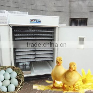 HY2816 full automatic ostrich egg hatching machine factory directly hatching machine for sale