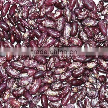 Chinese purple speckled kidney beans