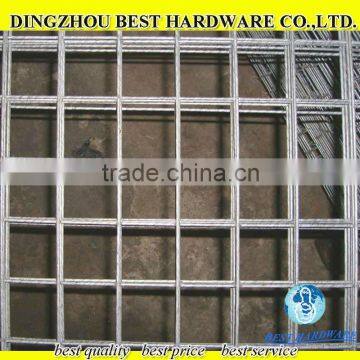 stainless stell and galvanized welded wire mesh