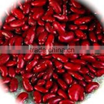 JSX Europe red kidney beans 2016 crop high quality red speckled kidney bean