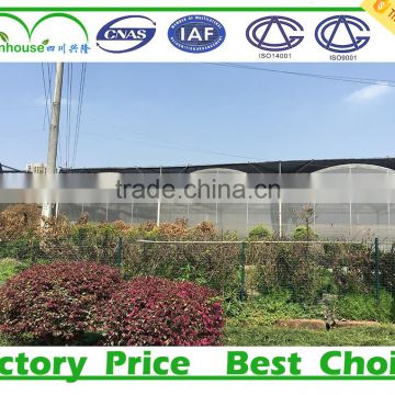 Cheap commercial plastic tunnel tomato greenhouses for sale
