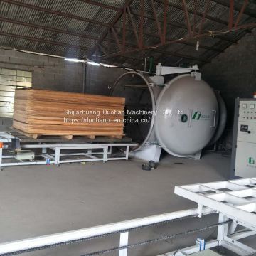 Radio Frequency Vacuum Drying Kiln Solid Wood Drying Machine Sales