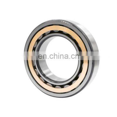 China NTN bearing RN215EM cylindrical roller bearing RN219 RN222 RN228 RN307