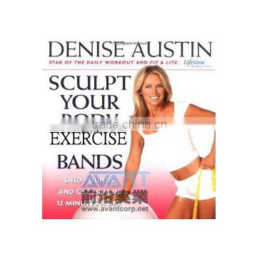 Denise Austin Swingin' to the Big Bands Workout VHS low impact exercise Band