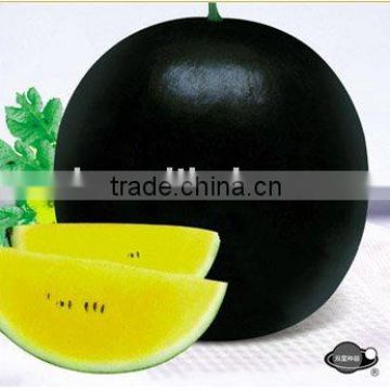 Black Crystal black rind yellow flesh hybrid watermelon seeds