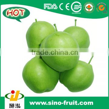 [HOT] 2016 sweet Pear supplier from China