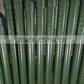 pe coated steel garden stakes for plant