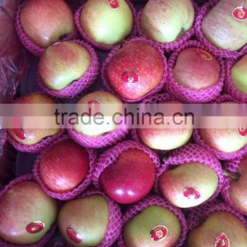 fresh apple chinese apple fruit gala apple
