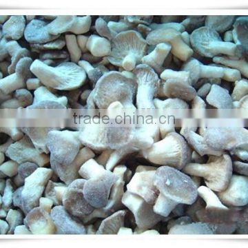 cultivated crops /100% natural china health food mushroom
