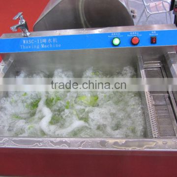 High Hfficient Convinient Automatic Vegetable Fruit Washing and Cleaning Machine Frozen Meat Thaw Machine