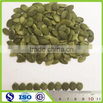 Chinese dried organic seeds