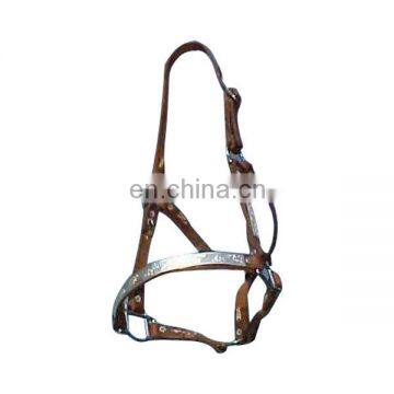 horse halter with silver fitting