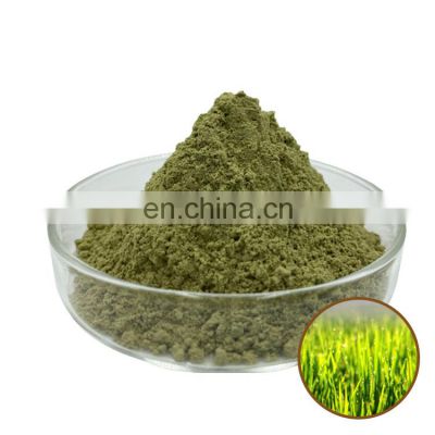 100% Pure Green powder Barley Grass Extract barley grass powder organic Barley Grass Extract