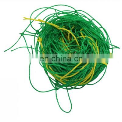 Good quality Plastic Climbing Support Net for Plant