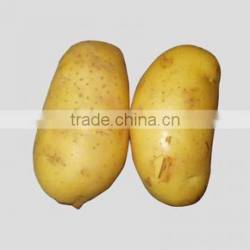 farm fresh potato