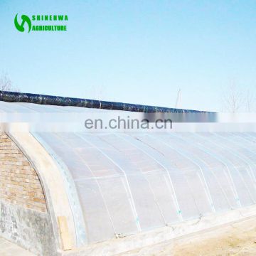 Single Tunnel Sunlight Greenhouse For Plant Growth For Roses