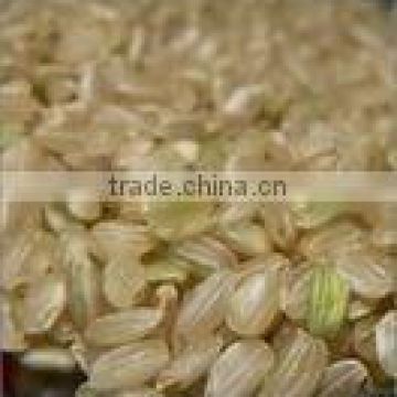 Steamed/Parboiled Brown Rice(Organic or Common)