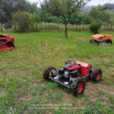 Remote discount mower price